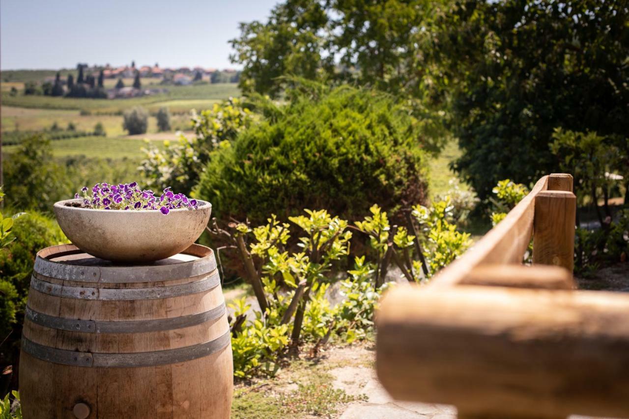 Villa Vinory - Tenuta Il Sogno San Marzano Oliveto Exteriér fotografie